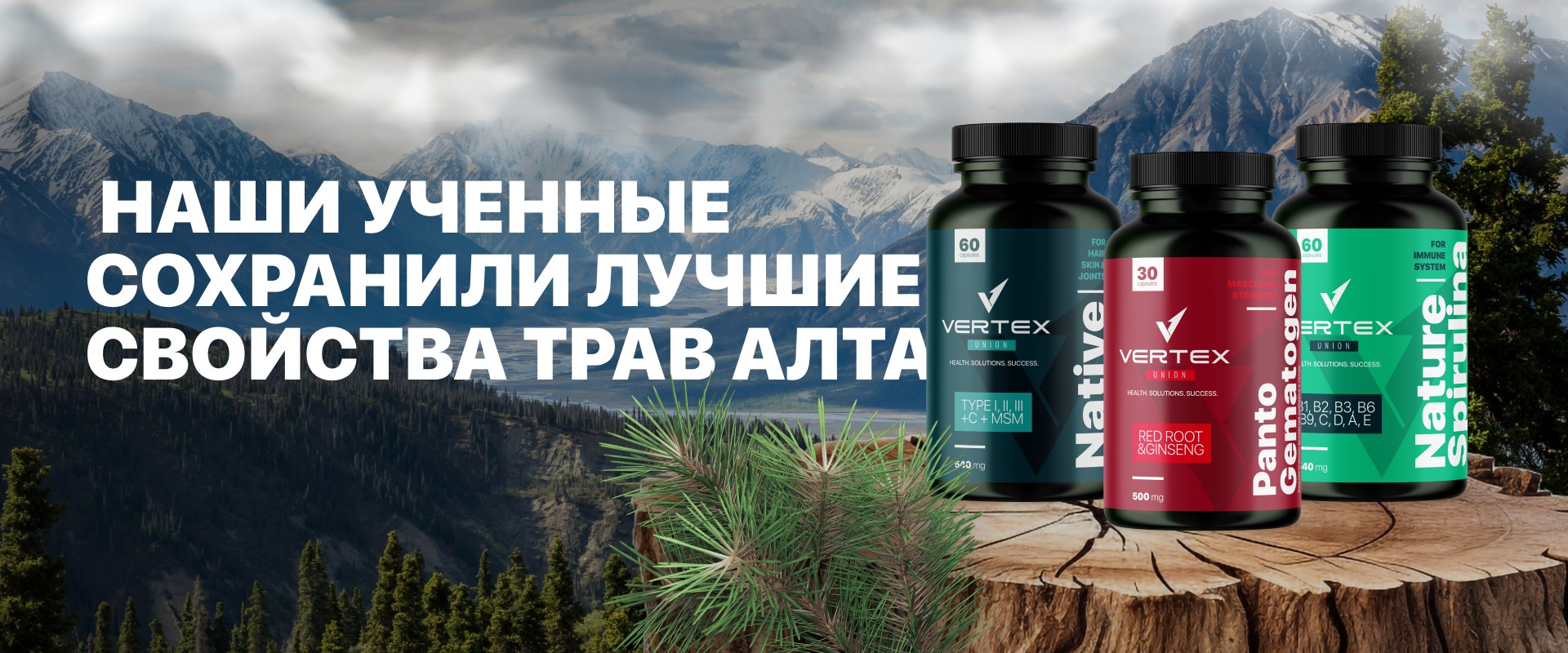 https://api.vertex-union.net/storage/shop-banner/18/conversions/argriAsytgIwaX9AMe0izKFDFvuz3CNhIqEeooHs-preview.jpg